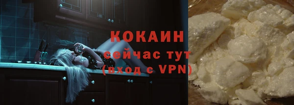 мяу мяу мука Горно-Алтайск