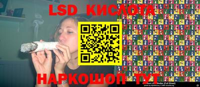 прущие грибы Гусев