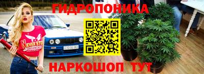 прущие грибы Гусев