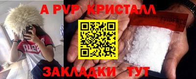 прущие грибы Гусев