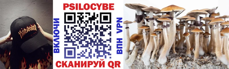 Галлюциногенные грибы мухоморы  Донской 