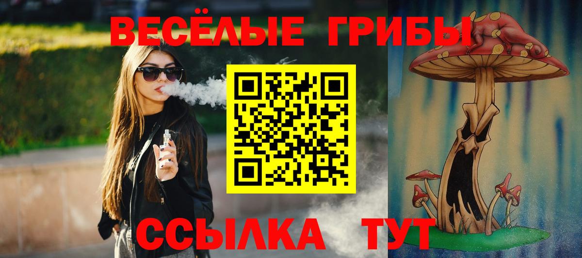 Донской  Псилоцибиновые грибы ЛСД  где купить   Вход с VPN 